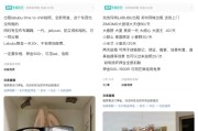 查梦解码闲鱼：LABUBU搜索量环比上涨1000%，供不应求下现租赁新形式