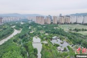 查梦解码西宁市举办六五环境日主题宣传活动