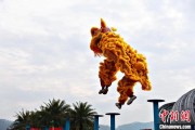 查梦解码（文化中国行）壮乡狮舞闯南洋：脚踏“云桩” 饮誉海内外